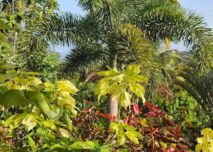 Jardin Damon