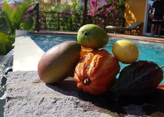 Kaye Mango